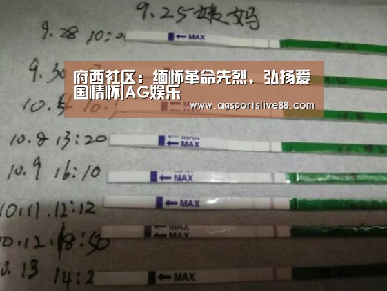 AG娱乐