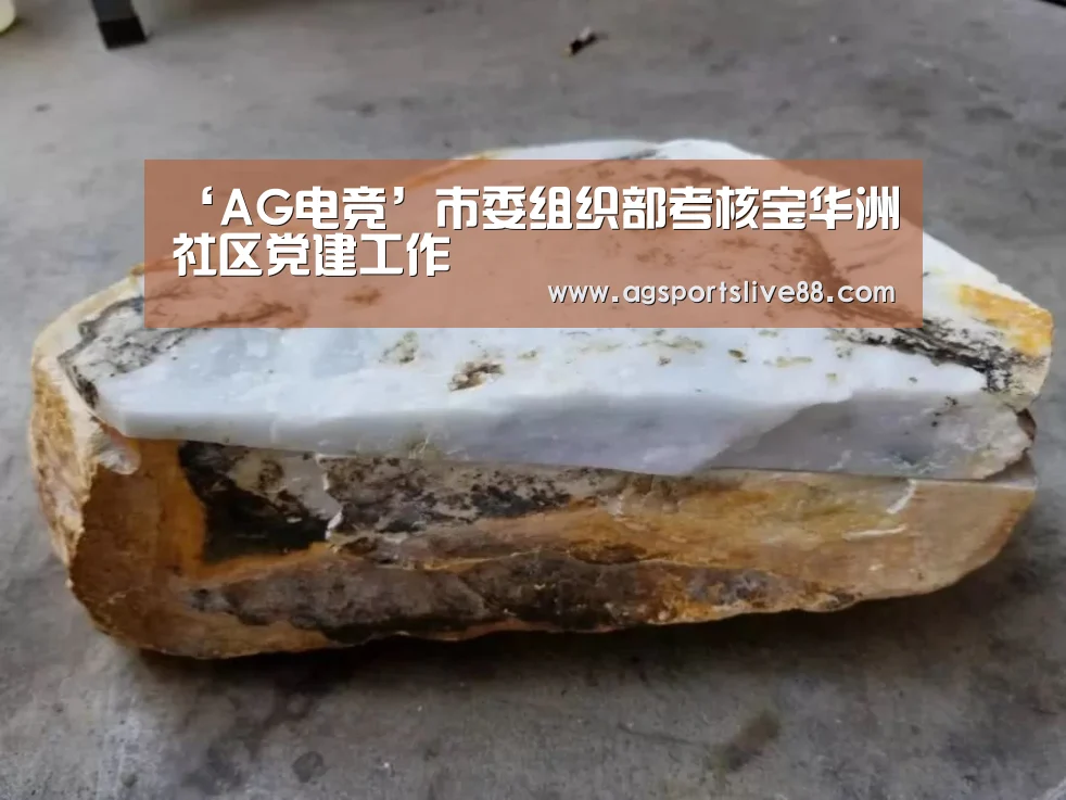 ‘AG电竞’市委组织部考核宝华洲社区党建工作(图1) AG电竞