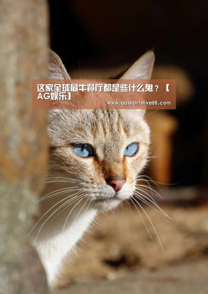 这家全球最牛餐厅都是些什么鬼?【AG娱乐】(图2) AG娱乐